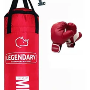 BOLSA DE BOXEO CON GUANTES